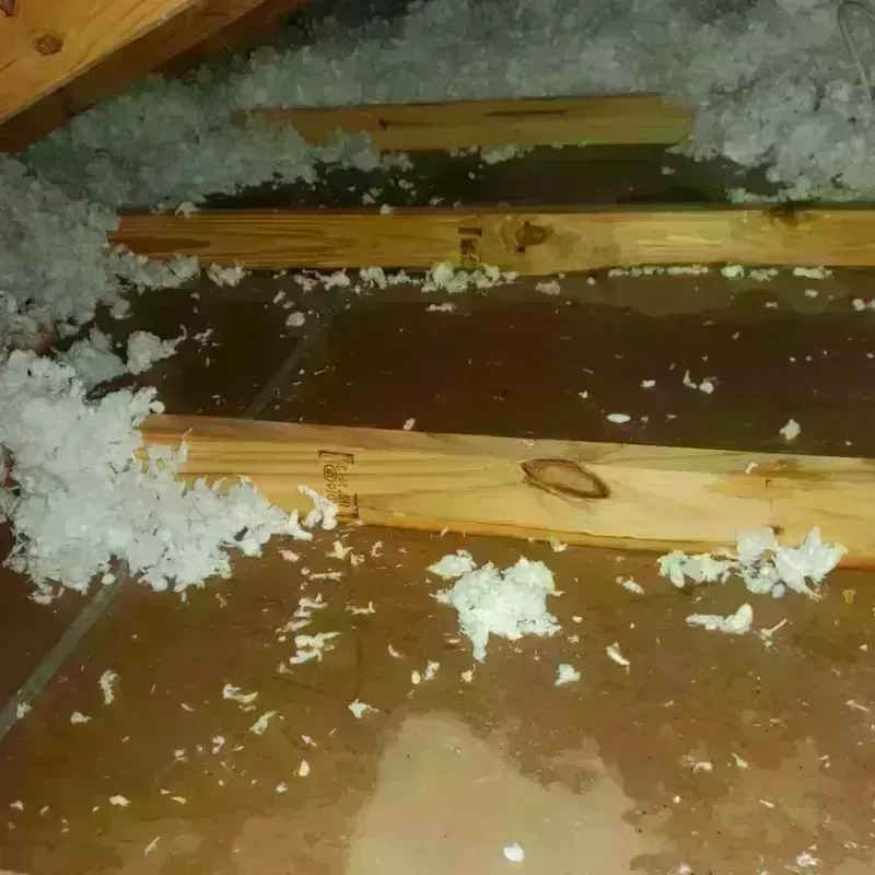 Attic Water Damage in North Shore, VA