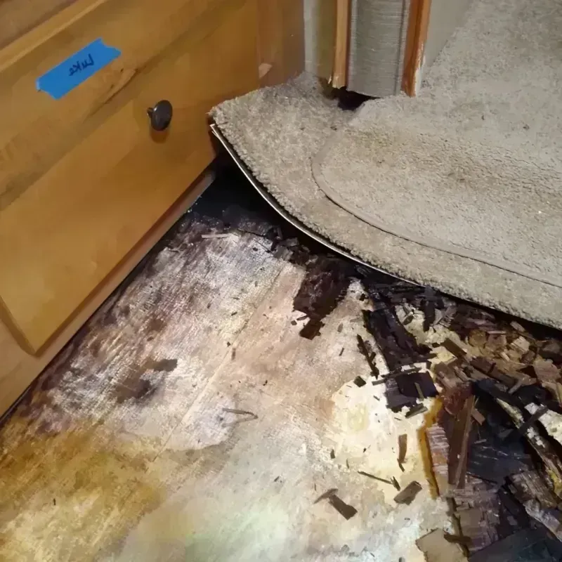 Wood Floor Water Damage in North Shore, VA